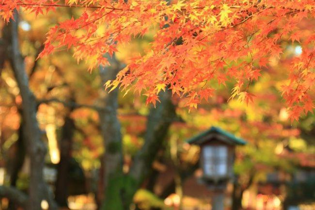 Kanazawa Machiya Inn Hana Ngoại thất bức ảnh